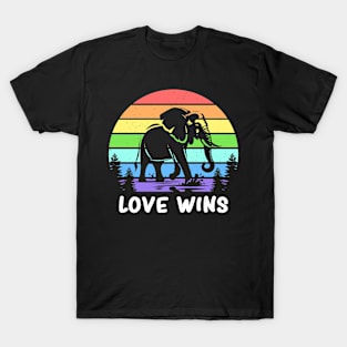 Love Wins Gay Pride Flag Lgbtq Rainbow Month T-Shirt